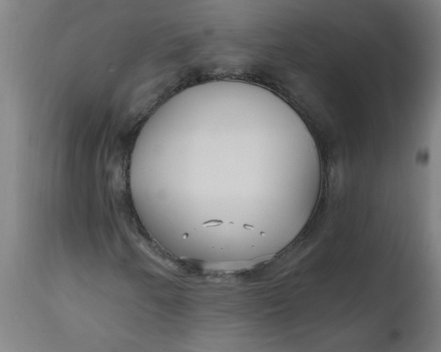 X0000112481250200909071148