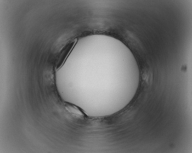 X0000112481252200909071148