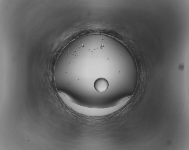 X0000112481253200909071148