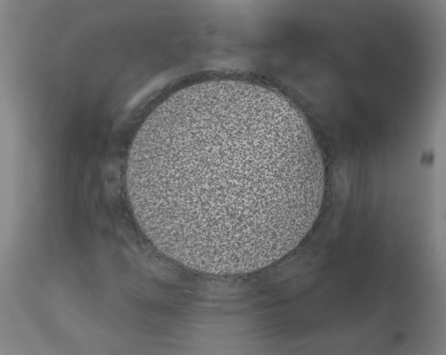 X0000112481254200909071148