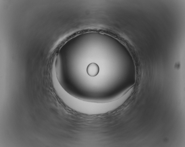 X0000112481256200909071148