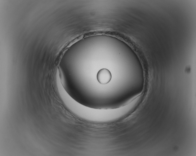 X0000112481257200909071148