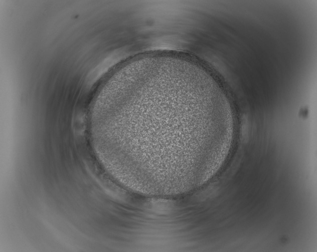 X0000112481258200909071148