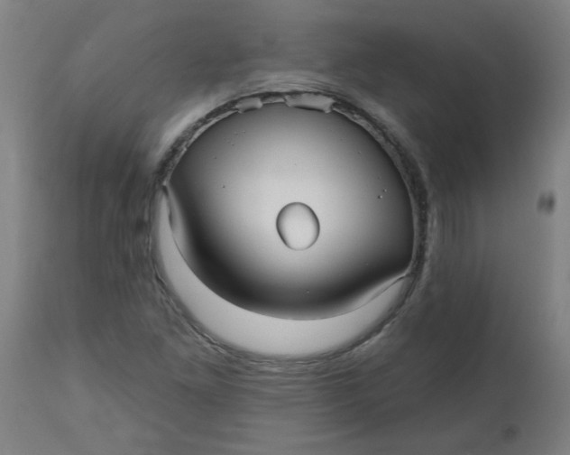 X0000112481261200909071148