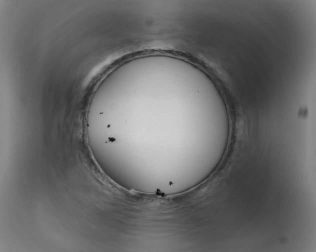 X0000112481262200909071148