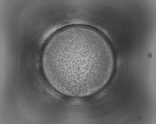 X0000112481263200909071148