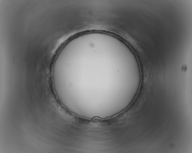 X0000112481264200909071148