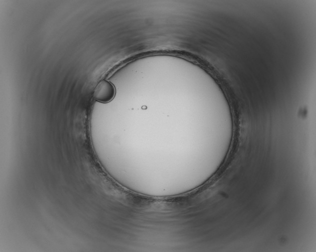 X0000112481265200909071148