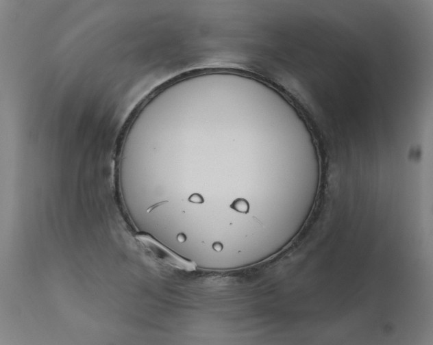 X0000112481268200909071148