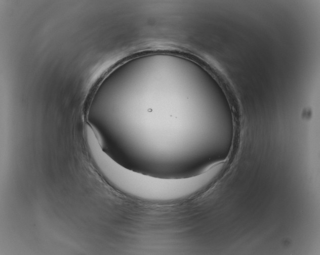 X0000112481269200909071148