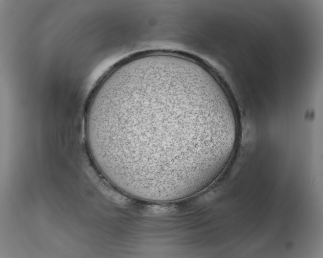 X0000112481271200909071148