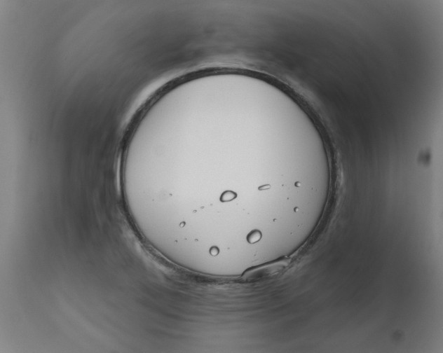 X0000112481272200909071148