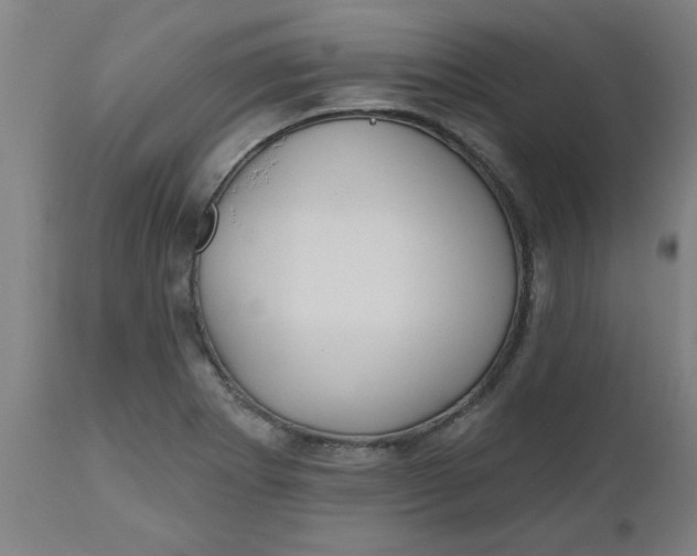 X0000112481273200909071148