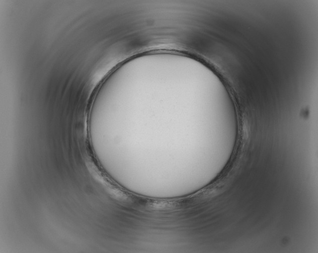 X0000112481274200909071148