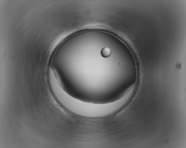 X0000112481277200909071148