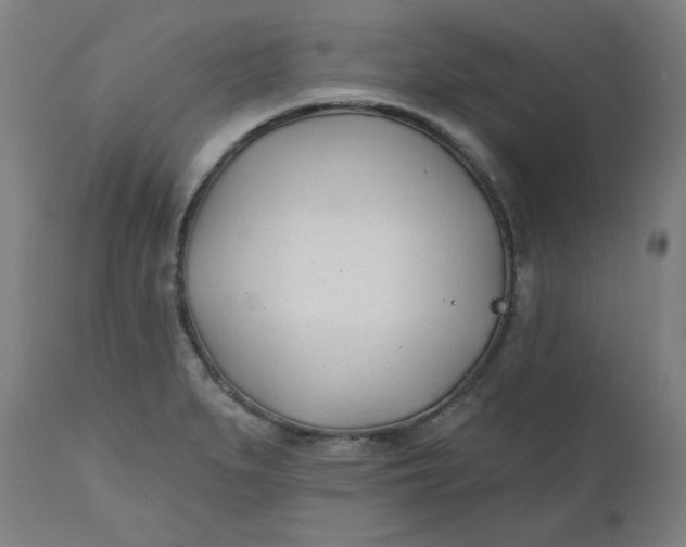 X0000112481279200909071148