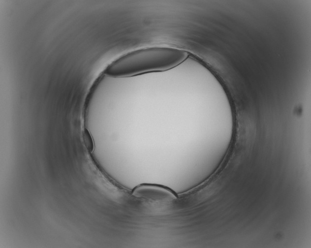 X0000112481280200909071148