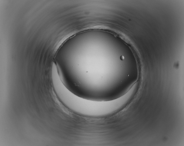 X0000112481281200909071148