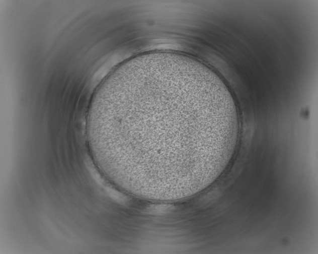 X0000112481282200909071148