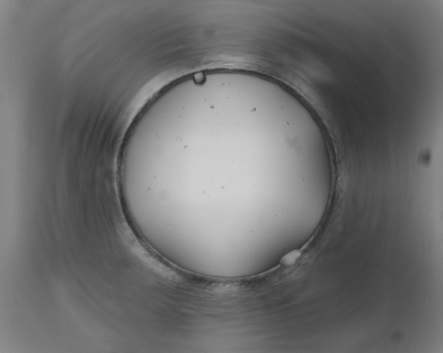 X0000112481283200909071148