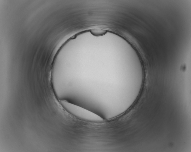 X0000112481284200909071148