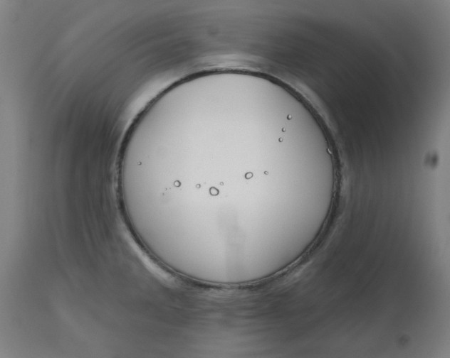 X0000112481285200909071148