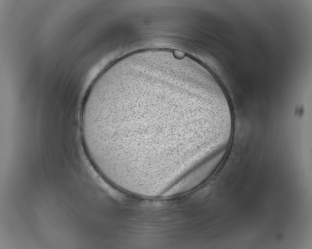 X0000112481286200909071148