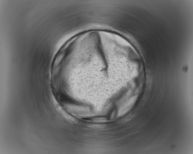 X0000112481287200909071148