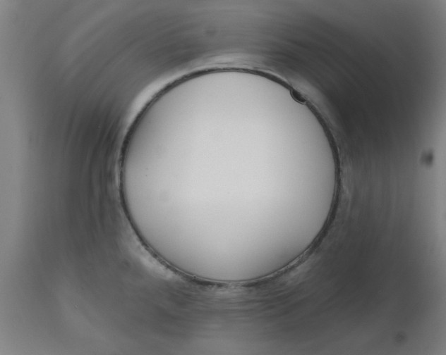 X0000112481288200909071148