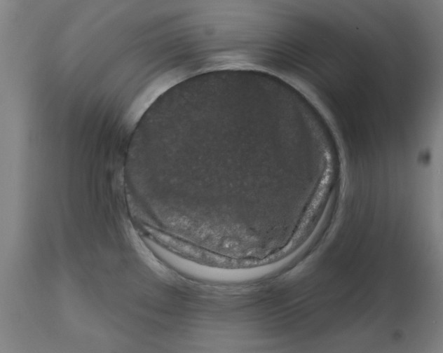 X0000112481289200909071148