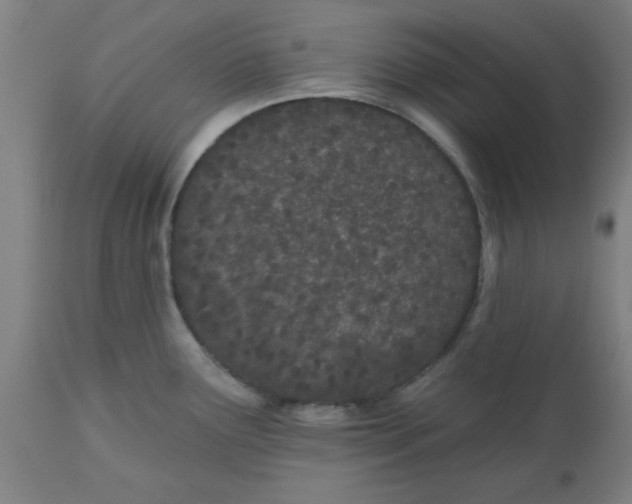 X0000112481291200909071148