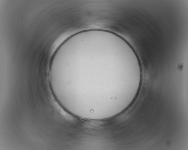 X0000112481294200909071148