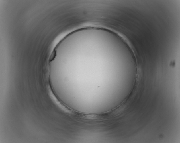 X0000112481295200909071148