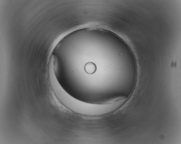 X0000112481296200909071148