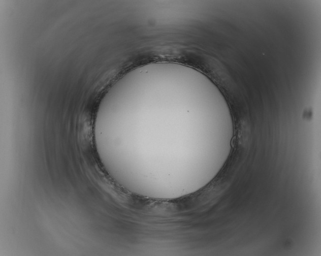 X0000112481298200909071147