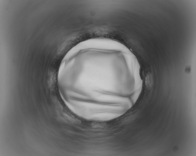 X0000112481299200909071147