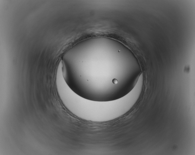 X0000112481300200909071147