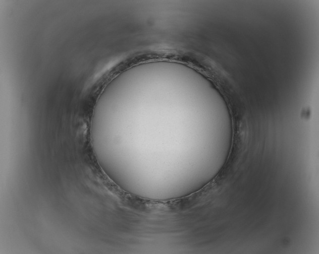 X0000112481302200909071147