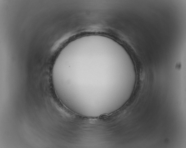 X0000112481304200909071147