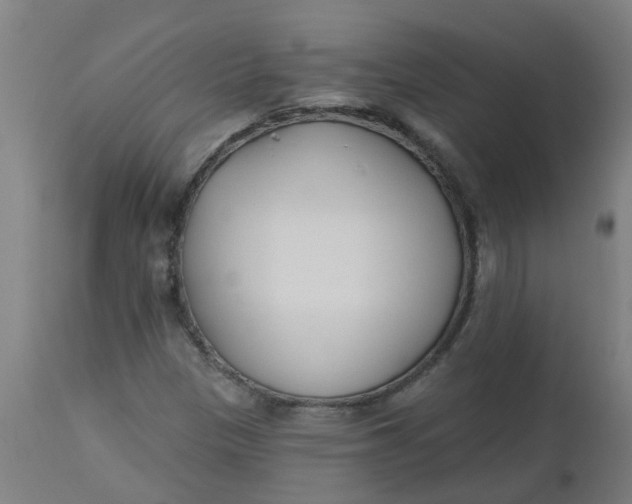 X0000112481305200909071147