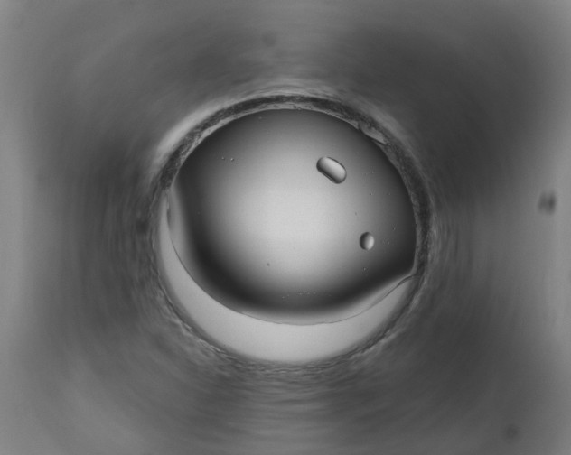 X0000112481310200909071147