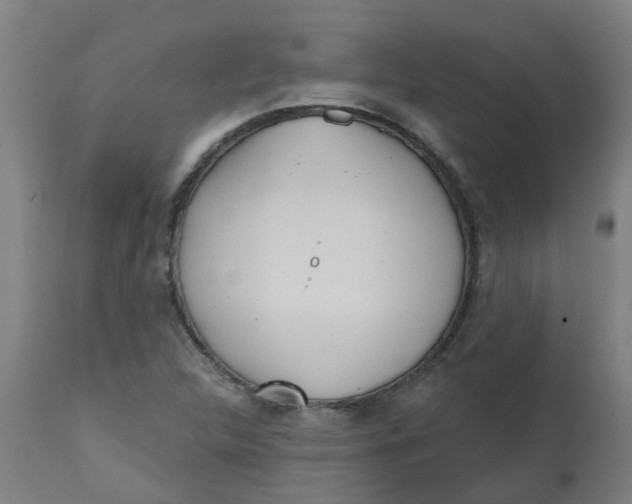 X0000112481312200909071147