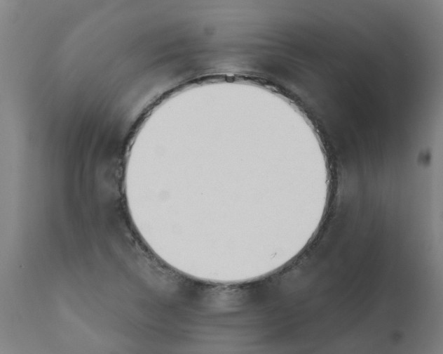 X0000112481314200909071147