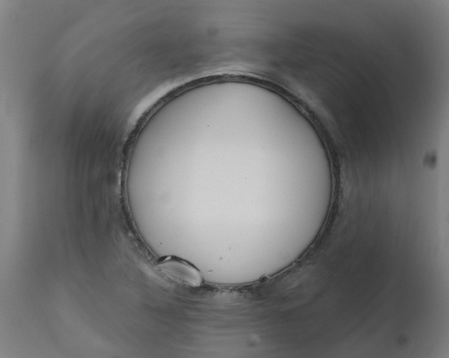 X0000112481316200909071147