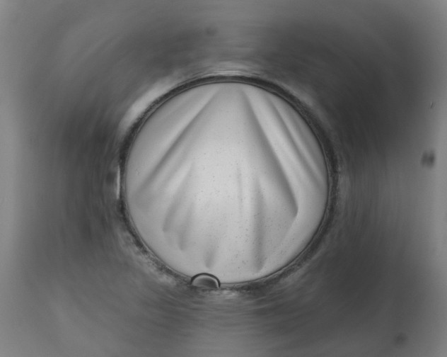 X0000112481317200909071147