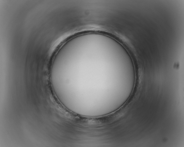 X0000112481318200909071147