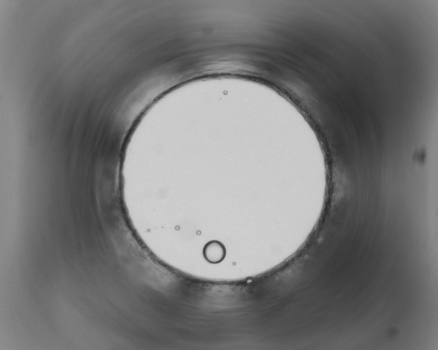 X0000112481322200909071148