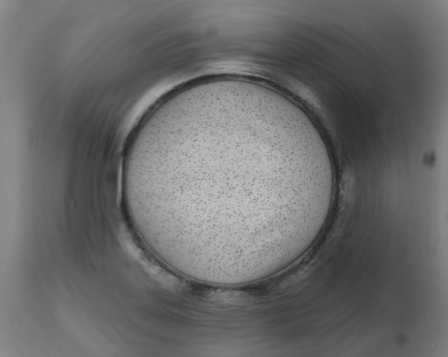 X0000112481323200909071148