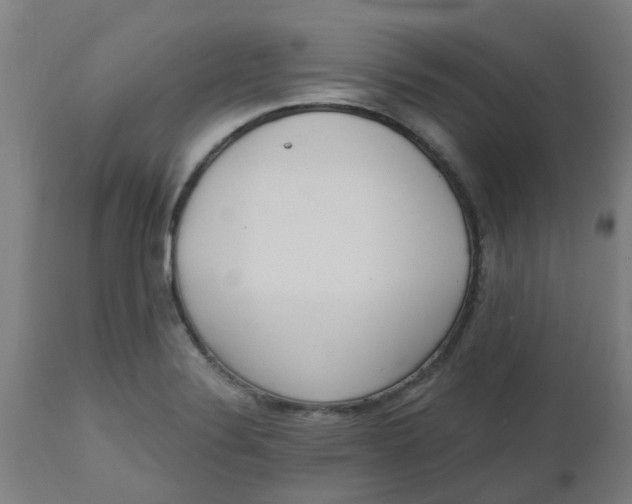 X0000112481324200909071148