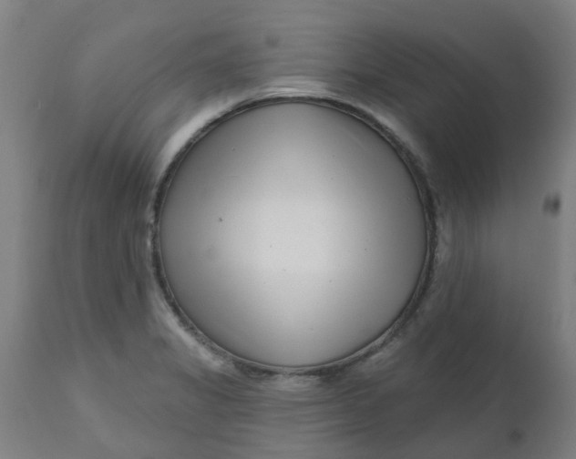 X0000112481325200909071148